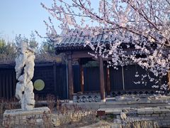-三里河公园