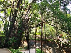 -乌山风景区