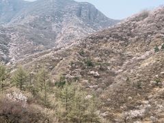 -妙峰山风景名胜区