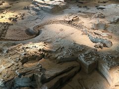 -自贡恐龙博物馆