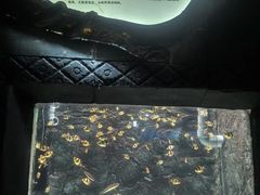 -苏州海洋馆