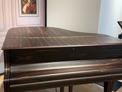 -知音艺术教育培训·钢琴培训·音乐培训(河西金鹰世界校区)