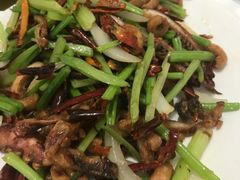 -烁佳海鲜大馅饺子