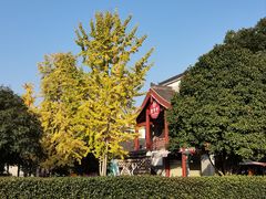 -橘子洲景区