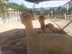 -山西乌金山旅游区