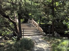 -复旦大学附属华山医院(总院)