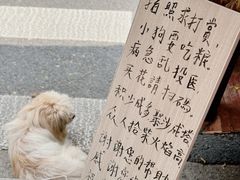 -安福路
