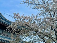 -苏州上方山国家森林公园