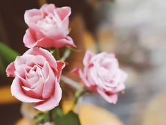 -厦门良筑精品酒店(厦门中山路店)