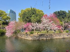 -无锡蠡湖国家湿地公园-蠡园