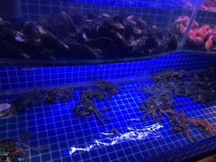 -星伦多自助料理(华润万象城店)