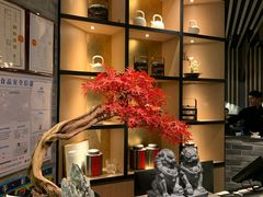 -湊湊火锅·茶憩(东城万达店)