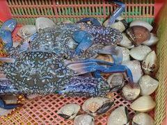 -班赞海鲜市场