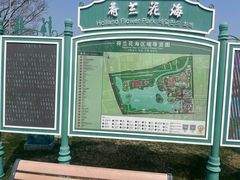 -荷兰花海