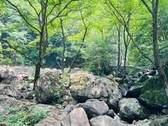 -白云源风景区