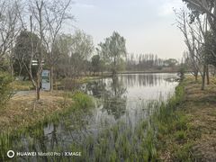 -溱湖国家湿地公园