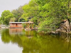 -水库河鲜村