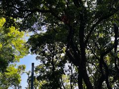 -四海公园(南山区)
