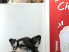 -树夏(建设路店)