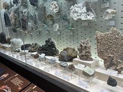 -浙江自然博物院(杭州馆)
