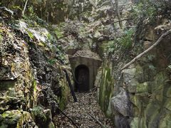 -上海佘山国家森林公园天马山园