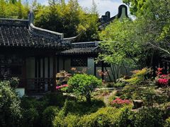 -上海醉白池公园