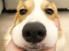 -CGV影城(梅江ScreenX店)