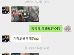 -翊宠yipet猫狗购宠庄园犬舍•猫舍