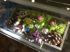 -Summer House夏莫手工坊团建活动(世博源店)