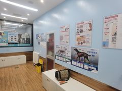 -瑞派·关忠动物医院·异宠专科·犬猫肿瘤·皮肤专科(望京店)