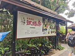 -三亚亚龙湾人间天堂鸟巢度假村