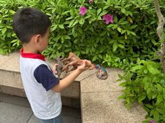 -太阳岛度假酒店