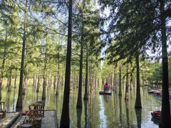 -泗洪洪泽湖湿地景区