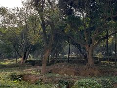 -天河儿童公园