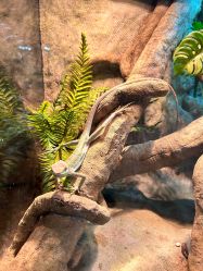 -酷嗒动物文化乐园(cutezoo西溪乐天城店)