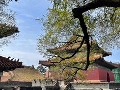 -沈阳市东陵公园