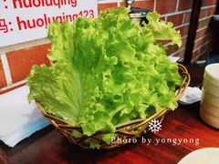 生菜-火炉情韩国料理店(古田路店)