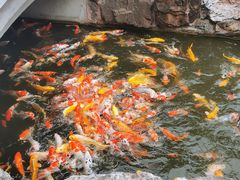 -镇江中国醋文化博物馆