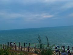 -广东惠东海龟国家级自然保护区