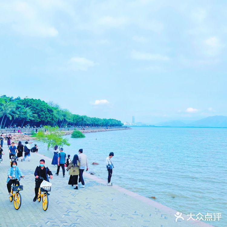 深圳必打卡地标之一，深圳湾公园