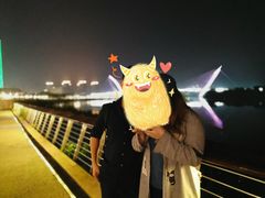 -南京眼步行桥