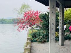 -杭州西湖风景名胜区-钱塘苏小小之墓