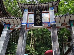 -苍山感通索道
