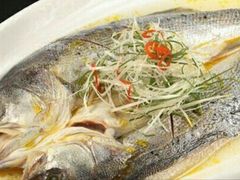 清蒸海鲈鱼-富春(瘦西湖店)
