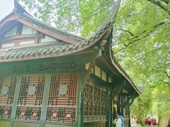 -桂湖森林公园