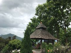 -大树秋千