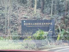 -缙云山景区