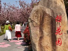-高东镇樱花园