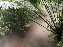-呀诺达热带雨林
