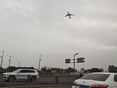 -烤匠麻辣烤鱼(双流明城购物中心店)